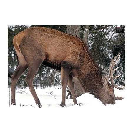 Maximal grand gibier cerf