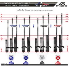 Ensemble Arc Système AS 15 Recurve Delta 2
