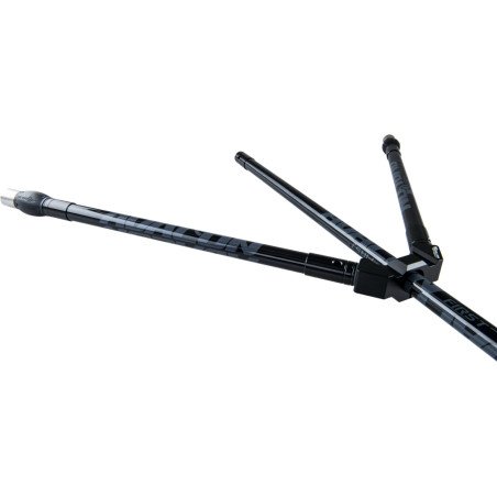 Avalon Ensemble Stablisation First