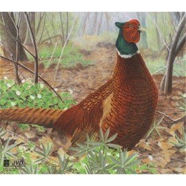 JVD petit gibier Faisan