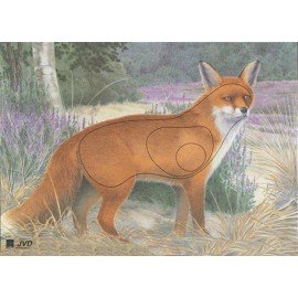 JVD moyen gibier Renard