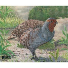 JVD petit gibier Predreau