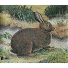 JVD petit gibier Lapin