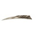 Naturelle Shield 4"