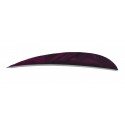 Naturelle Parabolique 4"