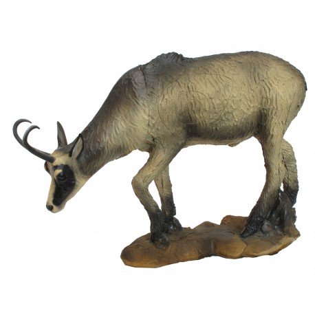 SRT Chamois d'été broutant