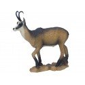SRT Chamois d'été marchant
