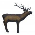 SRT Cerf
