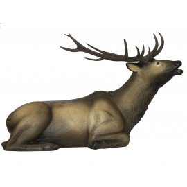 SRT Cerf couché