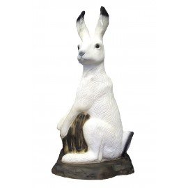 SRT Lièvre blanc