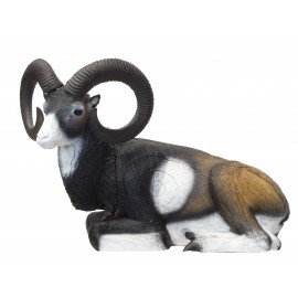 SRT Mouflon couché