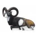 SRT Mouflon couché