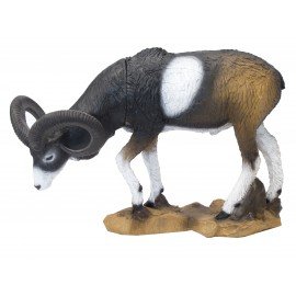 SRT Mouflon broutant