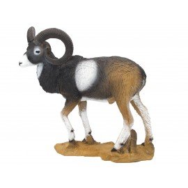 SRT Mouflon marchant