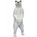 SRT Ours blanc debout