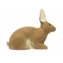 SRT Lapin