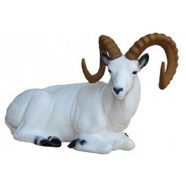 SRT Mouflon de Dall couché