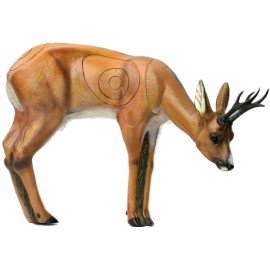 SRT Chevreuil broutant