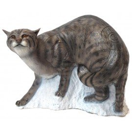 SRT Chat sauvage marchant