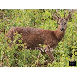Maximal moyen gibier Chevreuil alerte