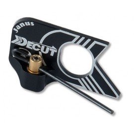 Decut Janus