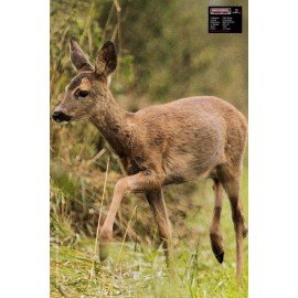 Maximal petit gibier Chevrette