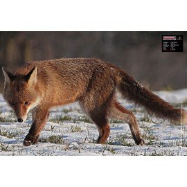 Maximal petit gibier Renard