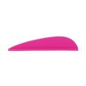 Paquet de 100 plumes Avalon Tyro 2"