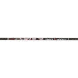 Skylon Quantic