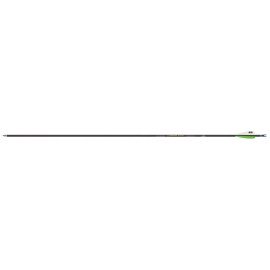 Easton ACG