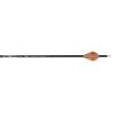Skylon Instec 5.2