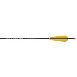 Flèche Skylon Frontier 6.2 montée