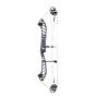 PSE Dominator 38