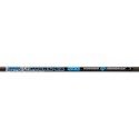 Skylon Phoric 6.2