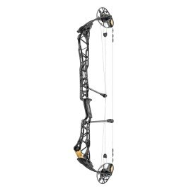 Mathews Title 38 2
