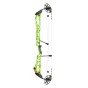 Mathews Title 38