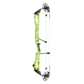 Mathews Title 38
