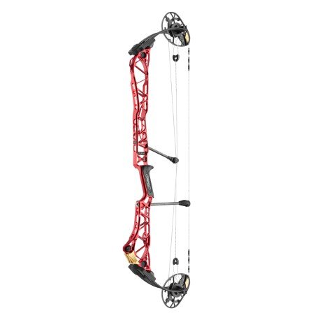 Mathews Title 38