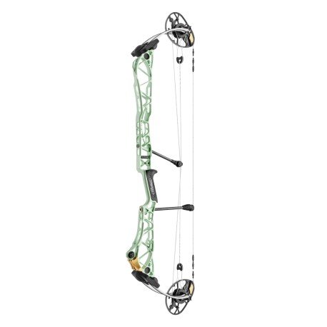 Mathews Title 38