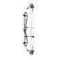 PSE Supra X 37