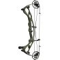 Hoyt RX-8