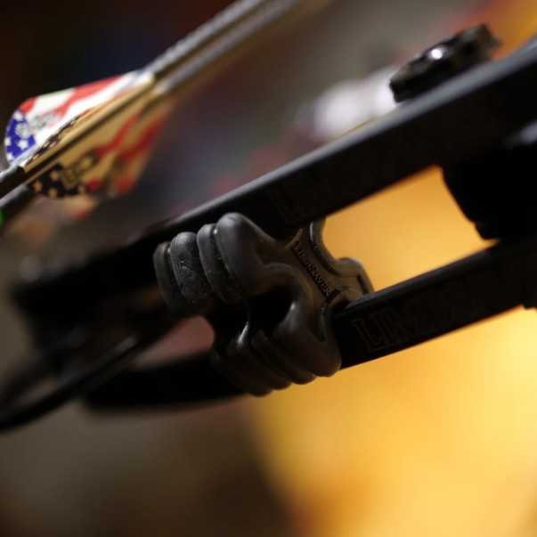 Limbsaver limb dampeners Twistlox