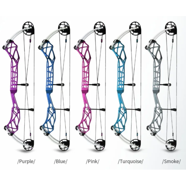 arc à poulies cible Topoint X38