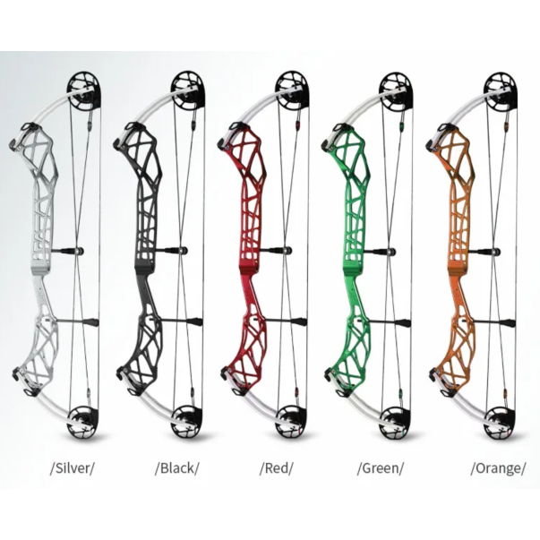 arc à poulies cible Topoint X38