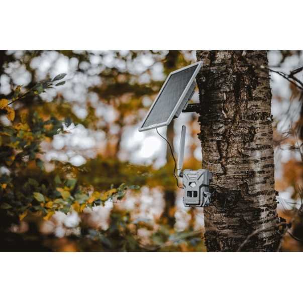 Piège photographique cellulaire Spypoint Flex - E36