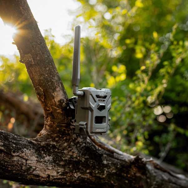 Piège photographique cellulaire Spypoint Flex - E36